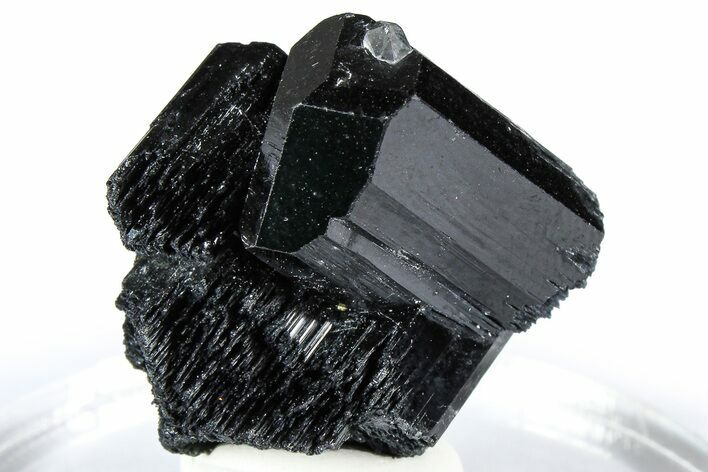 Lustrous Black Tourmaline (Schorl) Crystal Cluster - Namibia #361653